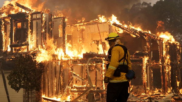 Пожары в США: числе жертв возросло до 23