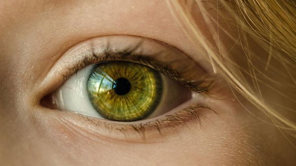 Ученые предложили новый метод лечения воспалений глаз