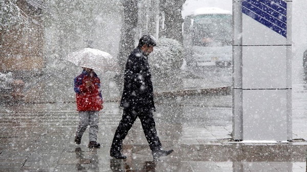 Синоптики спрогнозували, що в частині України потепліє і пройдуть дощі