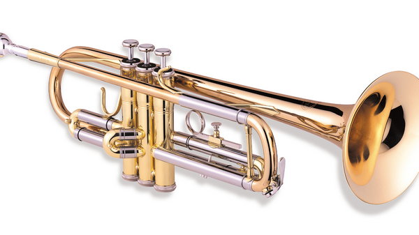 Чем труба отличается от тромбона?