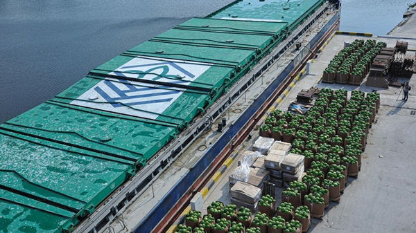 В Киев отправилась баржа с 300 тоннами арбузов