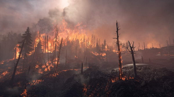 В результате лесных пожаров в Алжире погибли 42 человека