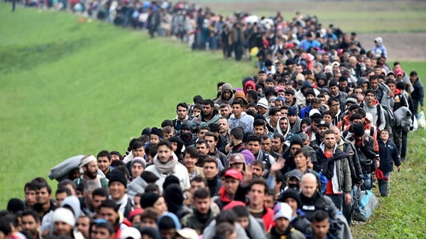 В Дании мигрантов обяжут отрабатывать пособие