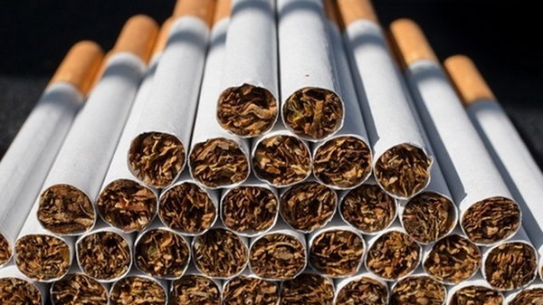 На Львівщині виявлено 1,6 млн пачок сигарет без акцизних марок