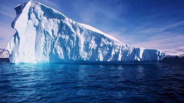 Стало відомо, що льодовики Арктики наповнені життям