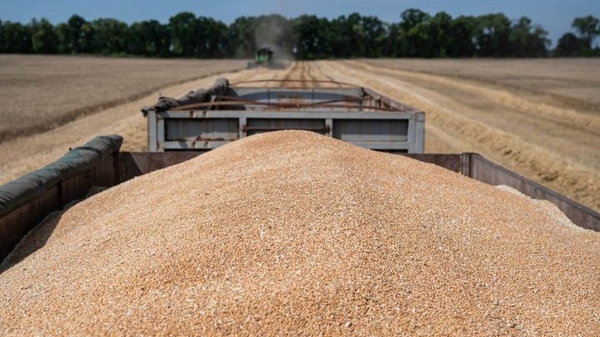 В НБУ назвали втрати від припинення зернової угоди