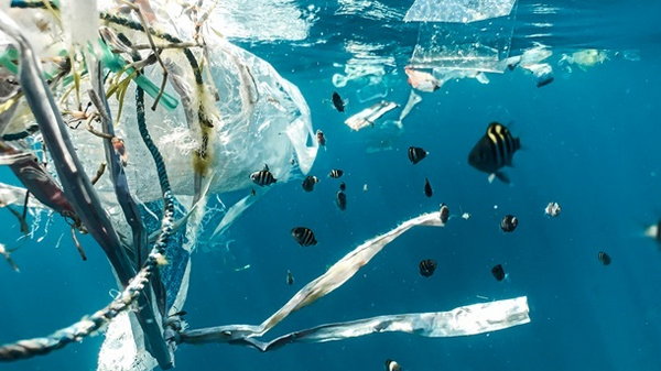 В океанах виявилося менше пластику, ніж передбачалося - вчені