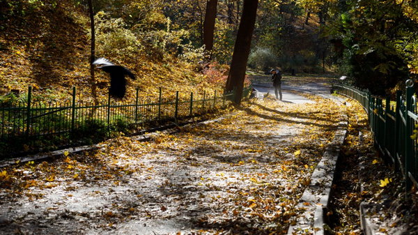 У Києві осінь-2023 посіла друге місце серед найтепліших в історії