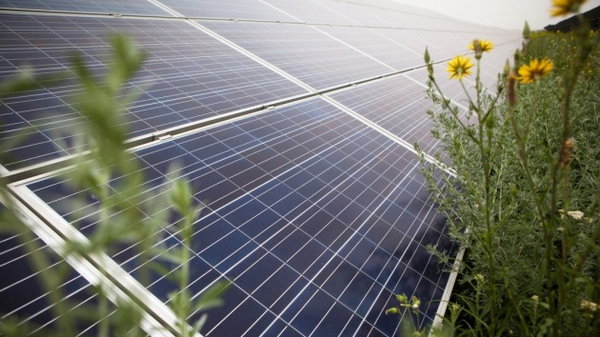 В Україні почали видавати безвідсоткові кредити на сонячні панелі