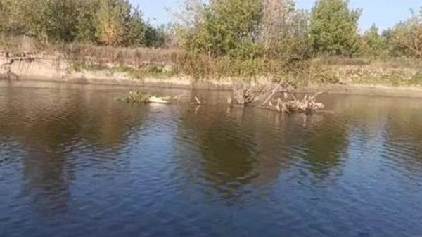 У Сеймі на Сумщині вода поступово очищується