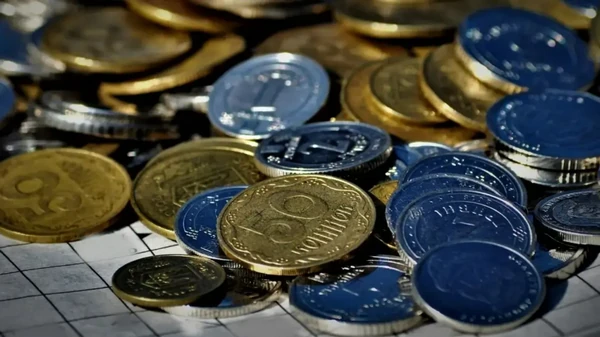 Рада підтримала перейменування копійки в шаг