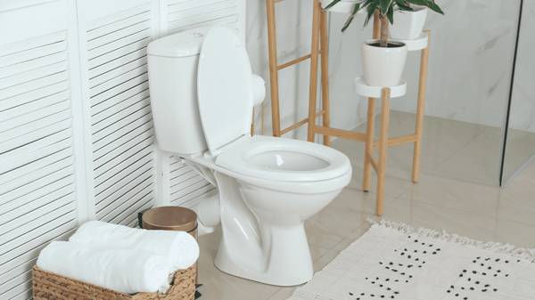 Как понять, что пора менять унитаз