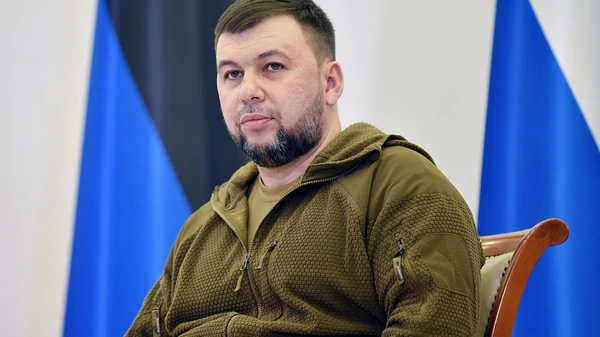 Пушиліну повідомили підозру за незаконну передачу зброї як 