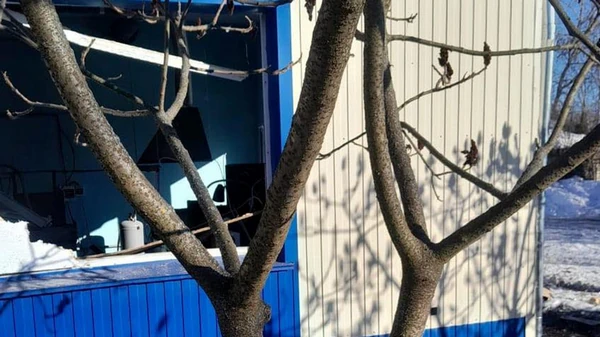 Росіяни вдарили по підприємству в Глухові: є жертва та поранені