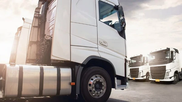 Код 95 в ЕС: стоимость, короткий курс и перспективы трудоустройства