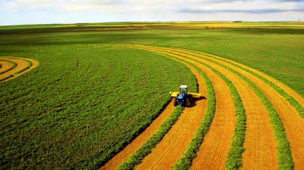 Две трети земли Украины стали зоной рискованного земледелия