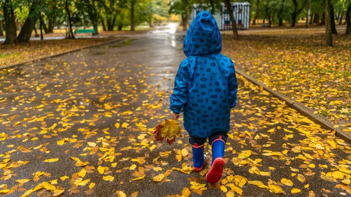 Наступний тиждень буде значно холодніший, почнуться дощі, — синоптикин...