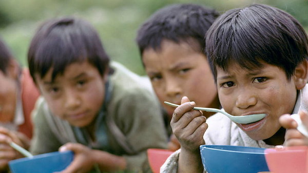 Пандемия обострила ситуацию с голодом в мире - ООН